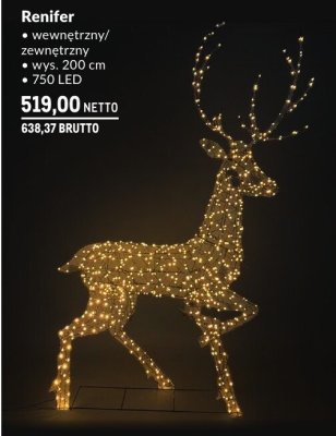 Dekoracja świąteczna Renifer wewnętrzny/zewnętrzny promocja w Makro