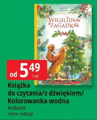 Oferta E.Leclerc I Mikołajkowy wybór w dobrej cenie, strona 23 promocja w Leclerc