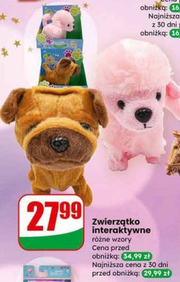Zwierzątko interaktywne różne wzory promocja w Dino