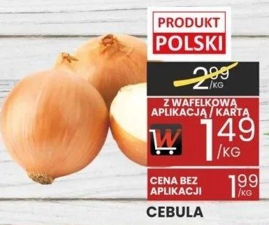 Cebula promocja w Wafelek