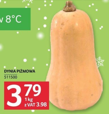 Dynia piżmowa promocja w Selgros