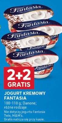 Jogurt kremowy Fantasia 100-118g różne rodzaje Danone promocja w Stokrotka