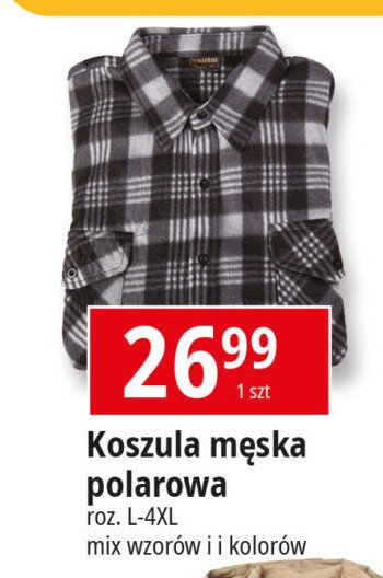 Koszula męska polar l-4xl promocja w Leclerc