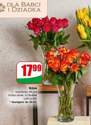 Róże 40 cm, różne rodzaje promocja w Dino