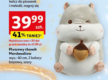 Chomik 40 cm promocja w Auchan