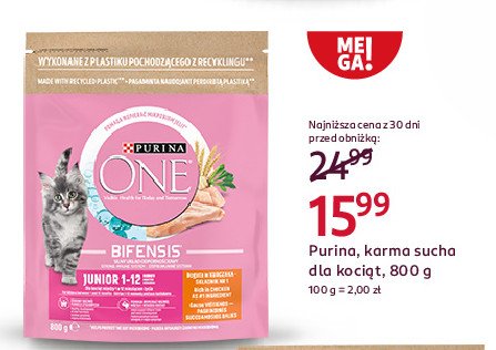 Karma dla kota junior Purina promocja w Rossmann