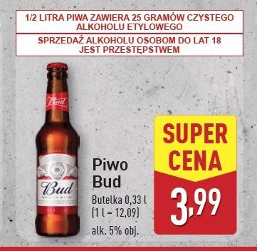 Piwo Bud promocja w Aldi