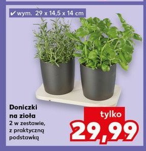 Doniczki na zioła promocja w Kaufland