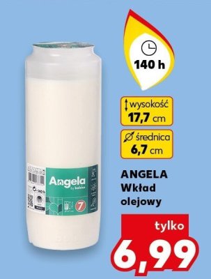 Wkład olejowy promocja w Kaufland