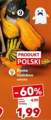 Dynia promocja w Kaufland