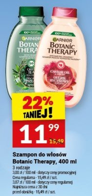 Szampon do włosów Botanic Therapy 400 ml promocja w Twój Market