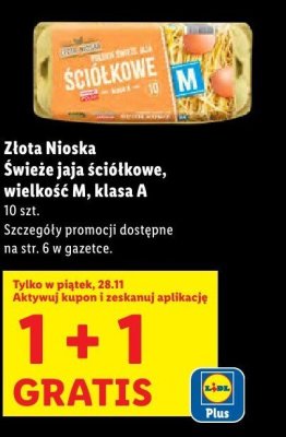 Świeże jaja ściółkowe, wielkość M, klasa A promocja w Lidl