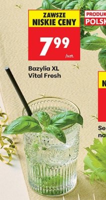 Bazylia XL Vital Fresh promocja w Biedronka