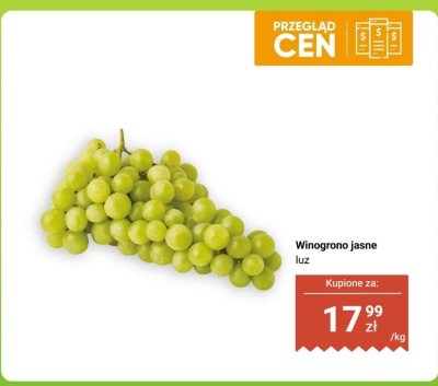 Winogrono jasne luz promocja w Dino