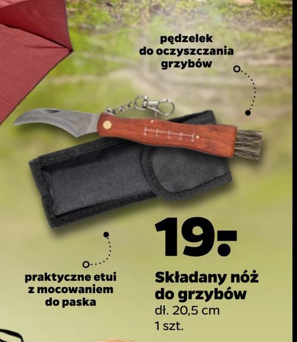 Nóż do grzybów promocja