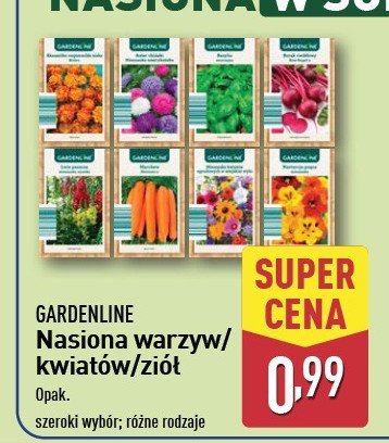 Nasiona marchewki GARDEN LINE promocja