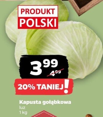 Kapusta gołąbkowa luz promocja w Netto