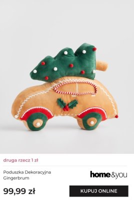Poduszka Dekoracyjna Gingerbrum promocja w home&you