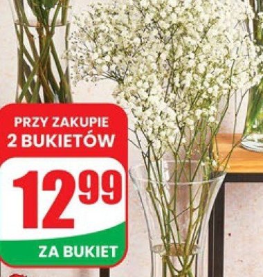 Gipsówka bukiet promocja w Dino