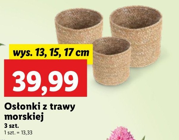 Osłonki z trawy morskiej 13 cm + 15 cm + 17 cm promocja