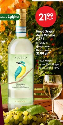 Wino promocja w Żabka