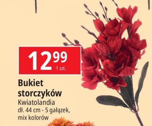 Bukiet storczyków Kwiatolandia promocja