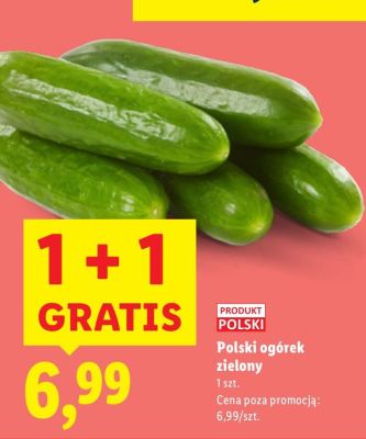 Polski ogórek zielony promocja w Lidl