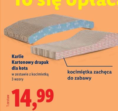 Kartonowy drapak dla kota, 3 wzory promocja w Lidl