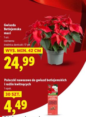 Paleczki nawozowe do gwiazd betlejemskich i roślin kwitnących promocja w Lidl