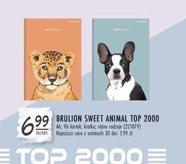 Brulion a6/96 k Top-2000 promocja