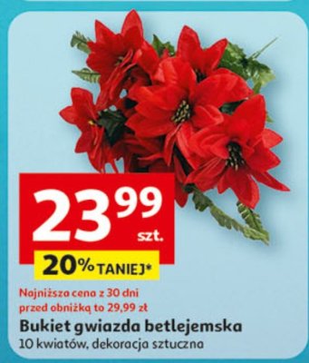Bukiet gwiazda betlejemska promocja w Auchan