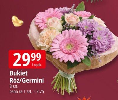 Bukiet Róż/Germini promocja w Leclerc