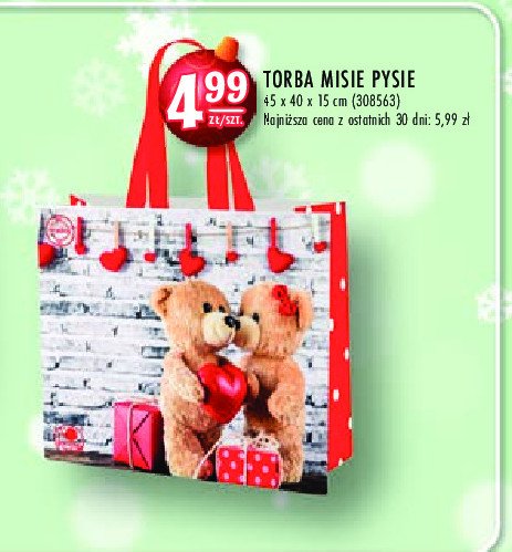 Torba misie pysie 45 x 40 x 15 cm Gam promocja