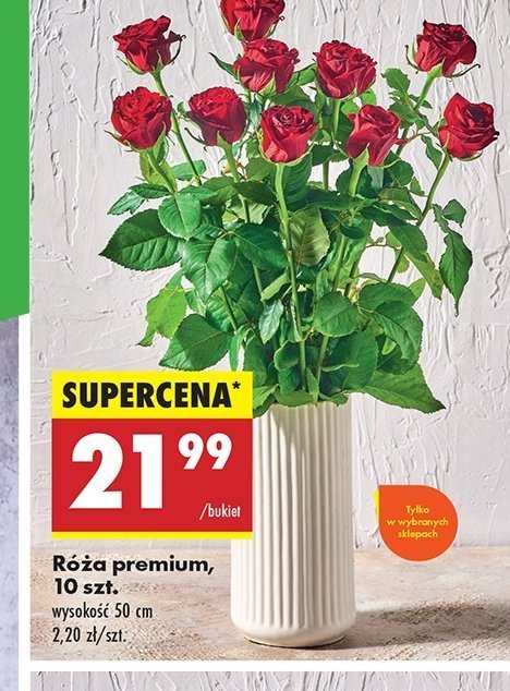 Róże premium 50 cm promocja w Biedronka