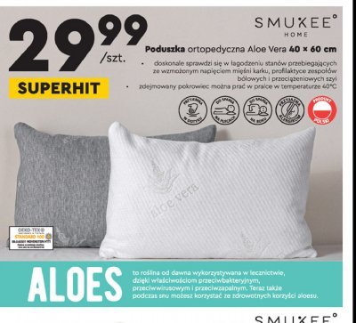 Poduszka ortopedyczna aloe vera 40 x 60 cm Smukee home promocja