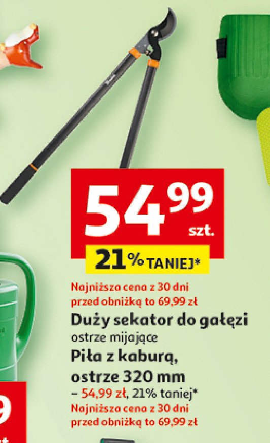 Sekator duży promocja w Auchan