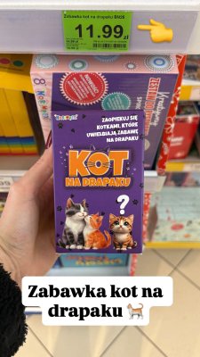 Zabawka kot na drapaku promocja w Dino