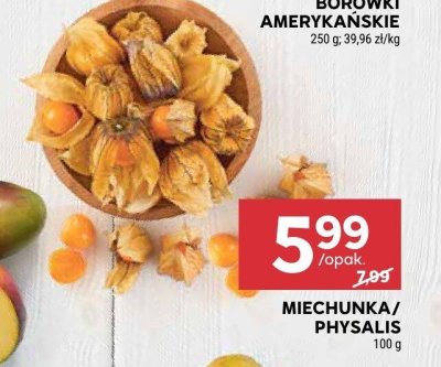 Miechunka / Physalis promocja w Stokrotka
