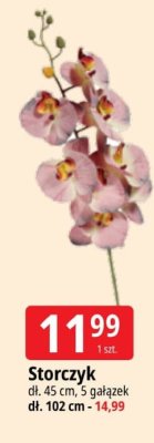Storczyk promocja w Leclerc