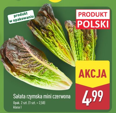 Sałata rzymska mini czerwona 2 szt. promocja w Aldi