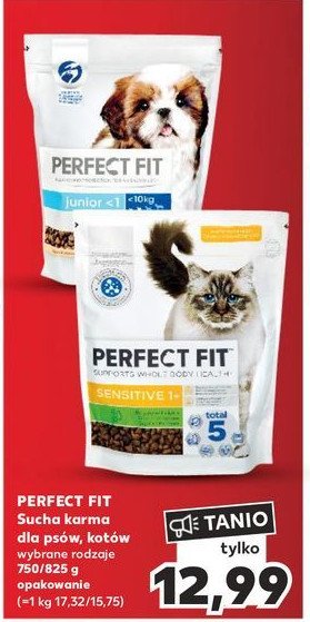 Karma dla kota junior Perfect fit promocja