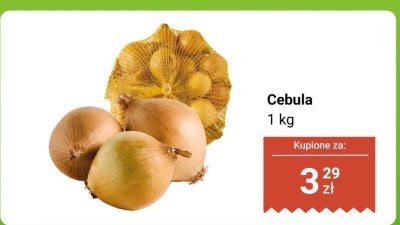 Cebula 1 kg promocja w Dino