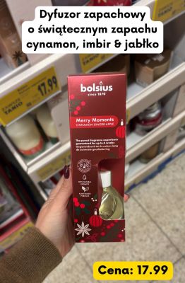 Dyfuzor zapachowy Merry Moments cynamon, imbir & jabłko promocja w Kaufland