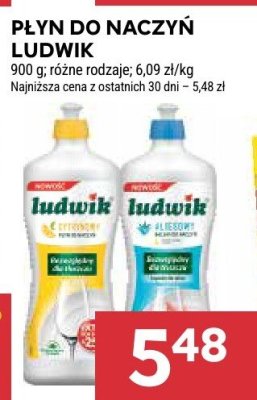 Płyn do naczyń Ludwik promocja w Stokrotka