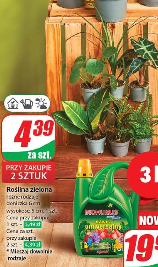 Roślina zielona promocja