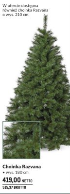 Choinka Razvana 180 cm promocja w Makro