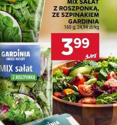 Mix sałat z roszponką promocja w Stokrotka