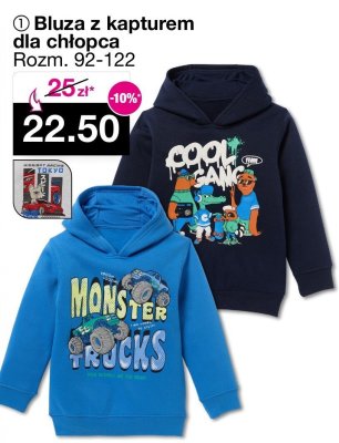 Bluza z kapturem dla chłopca promocja w Woolworth