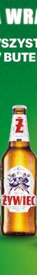 Piwo Żywiec promocja w Biedronka