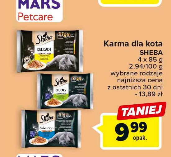 Karma dla kota smaki rybne Sheba delicacy in jelly promocja